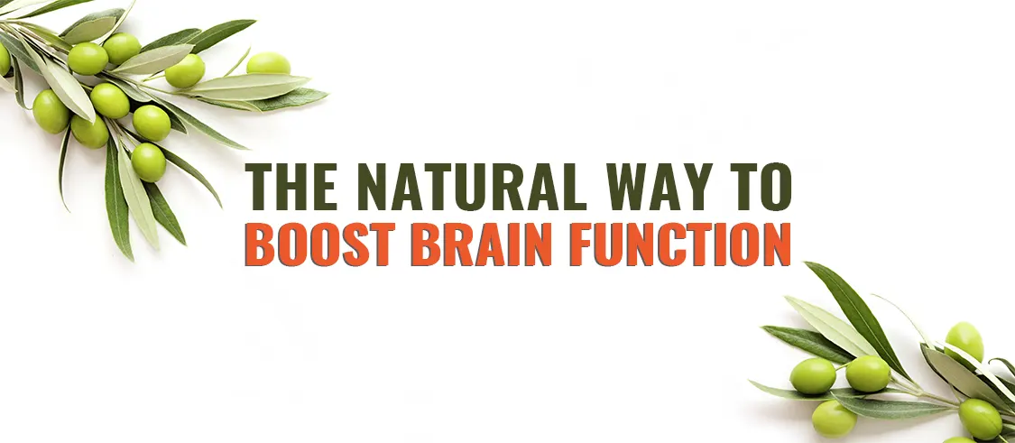 Natural Powerhouse for Brain Health
